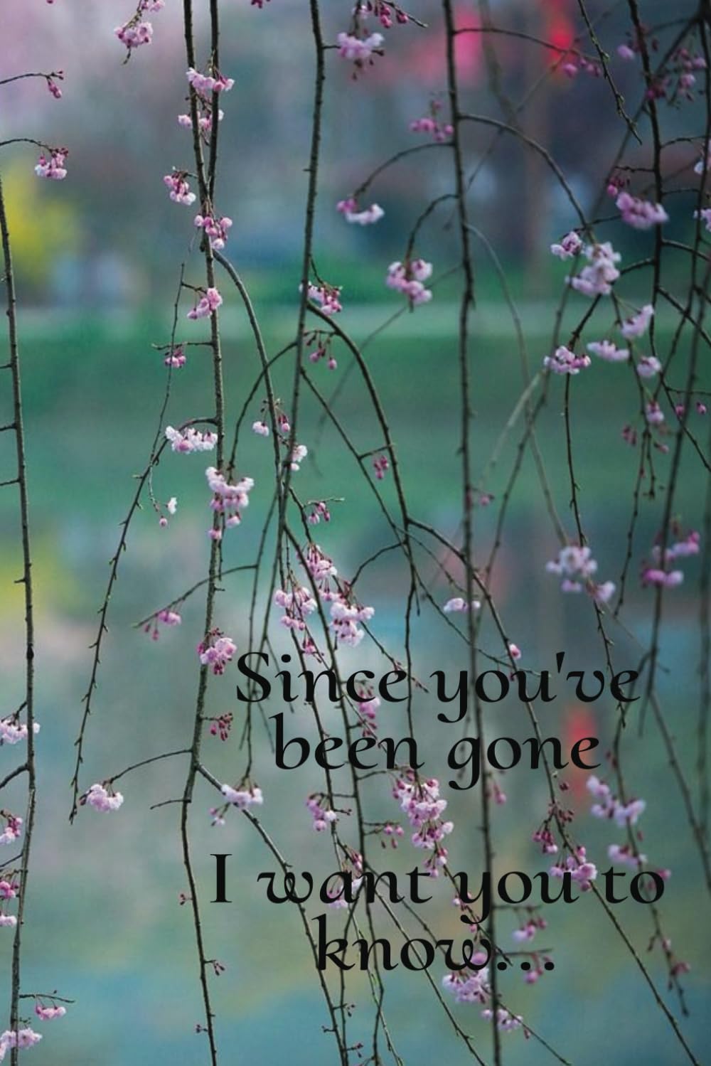 Since you've been gone I want you to know...: A Grief Journal for those who lost a child or loved one