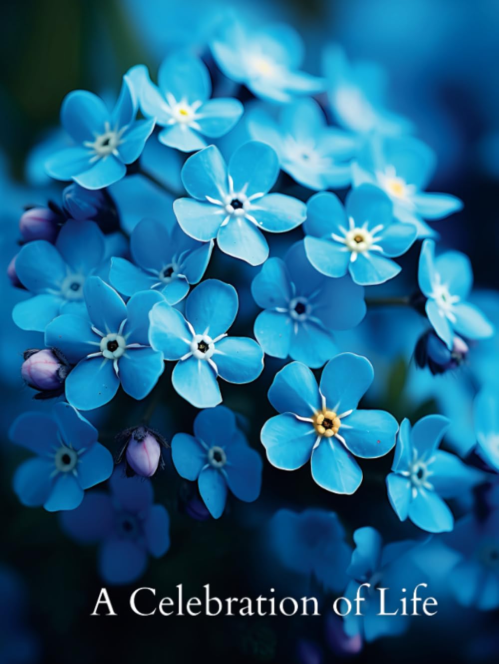A Celebration of Life: Funeral Guest Book with Forget Me Not Flowers Picture Cover