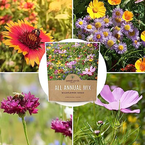 Wildflower Seeds Annual Quick Blooming Mix - Large 1 Ounce Packet Over 7,500 Open Pollinated Seeds