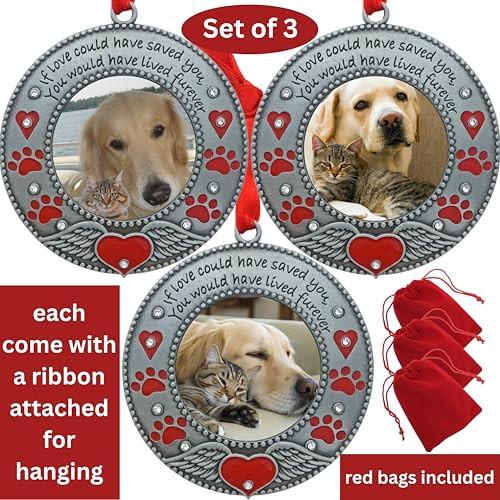 Pet Memorial Photo Ornaments Set of 3, Dog or Cat Remembrance Keepsake Picture Frames with Angel Wings, Paw Prints, Red Hearts, Enameled & Jeweled, Gift Bag Included, 3 Inch Round Holds 2 Inch Photo - size: 3 Standard