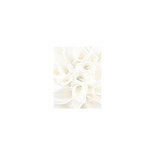 Great Papers! White Calla Lilies Letterhead, 80 Count, 8.5"x11" (2014286)