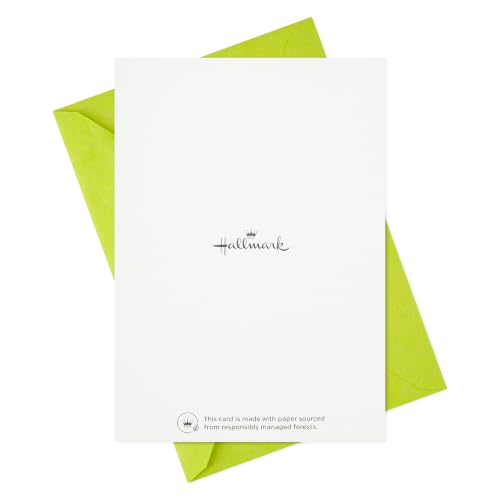 Hallmark Bulk Thank You Cards with Envelopes, Assorted 48-Pack (Cute Dogs) - color: Cute Dogs
