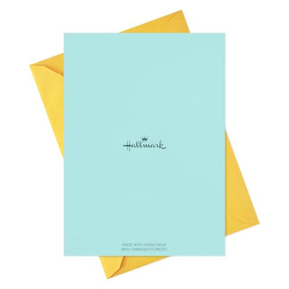Hallmark Birthday Cards, Assorted 36-Pack (Cats, Lasers, Llamas, Donuts) - style: Cats, Lasers, Llamas, Donuts