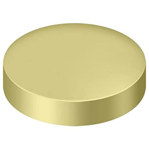 Deltana SCF100U3 Flat Round Screw Cover Clavo - color: Polished Brass