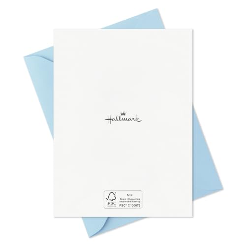 Hallmark Bulk Blank Sympathy Cards with Envelopes, 20-Pack (Just No Words) - color: White, Blue