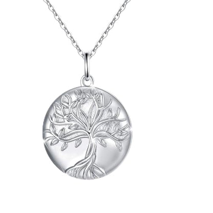 TUGHRA Mother's Day Gifts Gold Locket Necklaces for Women, 925 Sterling Silver Heart Photo Lockets Memorial Keepsake Jewelry Gift for Mom, Wife, Daughter - style: 0372-Silver