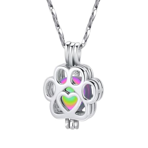 Paw Print Urn Necklace for Pet Ashes Stainless Steel Memorial Locket Cremation Jewelry Dog/Cat Keepsake Pendant with Mini Case Sympathy Gift for Pet Lovers Women Men - color: Silver-Colorful