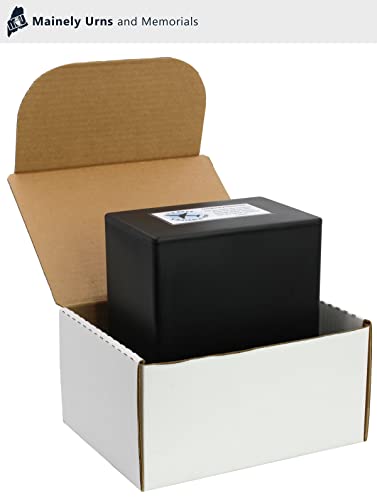 CarrySafe TSA-Approved Travel Urn Kit – Guaranteed Fly-Safe Temporary Cremation Urn for Human Ashes – Includes Personalization – Airline Friendly, 200 Cu in, Black Plastic with Travel Box - color: Black-personalized