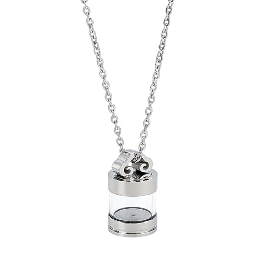 304 Stainless Steel Urn Necklaces for Ashes Engraving Silver Ashes Necklace Clear Column Glass Tube Vial Cremation Necklace Urns Locket Pendant Keepsake Memorial Jewelry