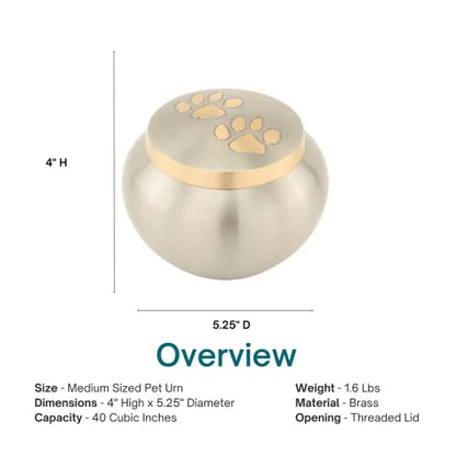Paw Print Round Pet Cremation Urn for Ashes in Pewter - Medium, Brass, Silver - Dog & Cat Urn - 4 Inches High - color: Pewter Silver, size: Medium Pet Urn