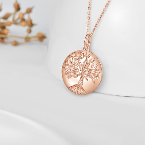 TUGHRA Mother's Day Gifts Gold Locket Necklaces for Women, 925 Sterling Silver Heart Photo Lockets Memorial Keepsake Jewelry Gift for Mom, Wife, Daughter - style: 0372-Rose Gold