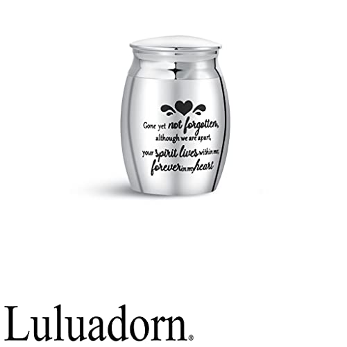Heaven Love Mini Cremation Urns for Human Ashes Family Grandma Keepsake - size: Gone yet not forgotten…