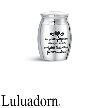 Heaven Love Mini Cremation Urns for Human Ashes Family Grandma Keepsake - size: Gone yet not forgotten…
