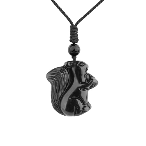 ASGIFT Black Obsidian Necklace Healing Crystal Stone Amulet Protection Pendant with Adjustable Rope Necklace Birthday Christmas Gift for Men Women - color: Squirrel