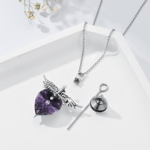 SOULMEET Memorial Wings Necklace for Ashes with Large Heart Crystal Birthstone, Angel Wings Urn Necklaces with Heart Shaped Birthstone Keepsake Silver Cremation Jewelry - style: F-June