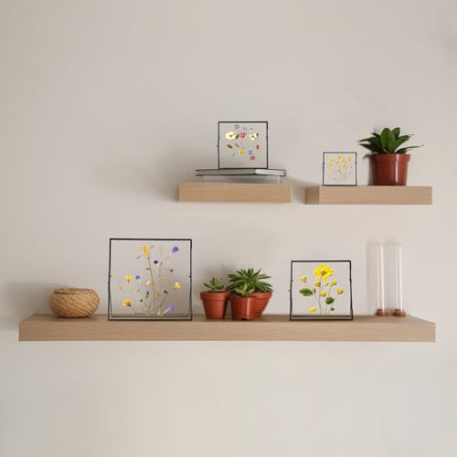 REDHUGO Double Glass Frame for Pressed Flowers, Square, Black, 4x4 Inches - color: Black, size: 4L" x 4W"