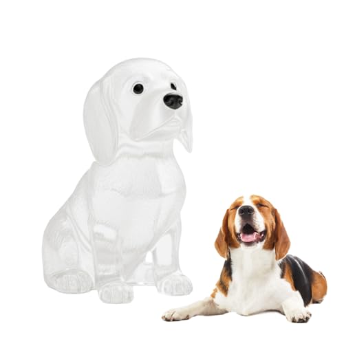 Pet Hair Keepsake Keychain Memorial Charm with Transparent Bottle for Collecting Dog Fur Portable - color: Biggar