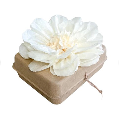Biodegradable Water Burial Urn Kit - Cruise Approved | Ocean Ashes Scattering Ceremony with Certificate | Eco-Friendly Memorial Urn. (Medium) - size: Medium