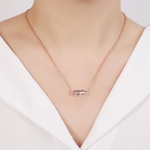 Pet Cremation Jewelry Stainless Steel Paw Print Tube Urn Necklace For Cat Dog Ashes Necklace For Women Keepsake With Filling Kits - color: Rose Gold Necklace