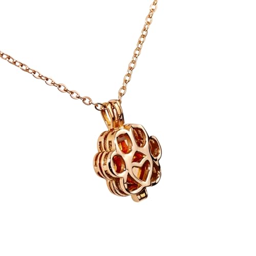 Paw Print Heart Pet Ashes Memorial Necklace with Mini Inner Box-Rose Gold | Pet Cremation Jewelry for Ashes, Cremation Urn Jewelry to Hold Dog & Cat Ashes Pendant with Box Filling Tools - color: Rose Gold