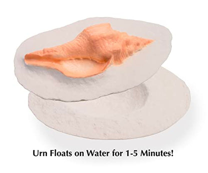 Biodegradable Urn for Human Ashes, Water Burial, Floats in Water, for Cremation, Ocean Scattering, Earth Memorials (Keepsake Elite® ShellY-03) - color: Keepsake Elite Shell