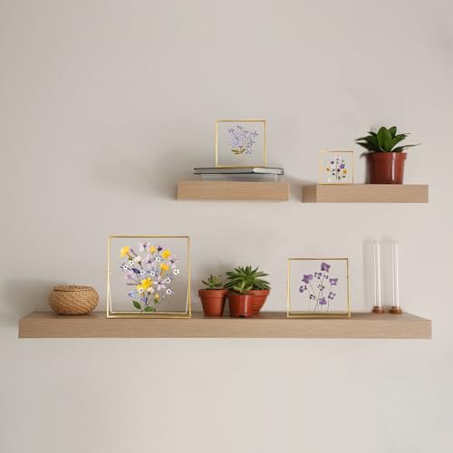 REDHUGO Double Glass Frame for Pressed Flowers, Square, Gold, 6x6 Inches - color: Gold, size: 6L" x 6W"