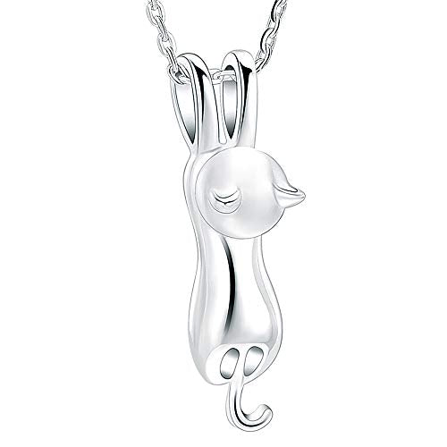 Imrsanl Pet Cremation Jewelry for Ashes Cat Urn Necklace - color: Sterling silver