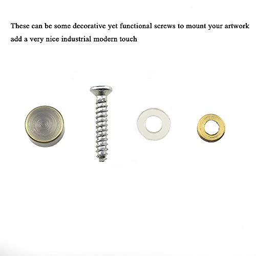 Hahiyo 12mm Diameter Mirror Screws Brushed Copper Material Solid Easy Install Brass Washer Decorative Caps Fasteners Nails Bronze 20 Pairs for Bathroom Mirrors Panels Kitchen Ceiling Arts Crafts - size: 12mm-20sets-Bronze