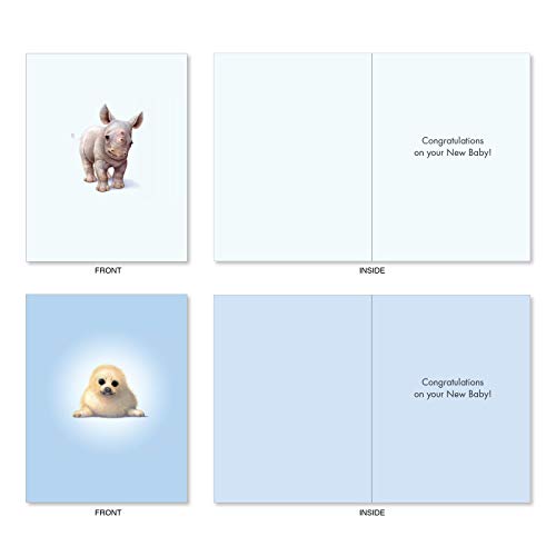 The Best Card Company 20 Assorted Baby Notecards Box Set 4 x 5.12 Inch with Envelopes (10 Designs, 2 Each) Zoo little ones AM6726BBG-B2x10 - style: Zoo Babies Baby