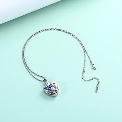 Yinplsmemory Hummingbird Cremation Jewelry Crystal Heart Urn Ashes Necklace for Women Men Memorial Keepsake Necklace of Loved One - color: Purple-Rainbow