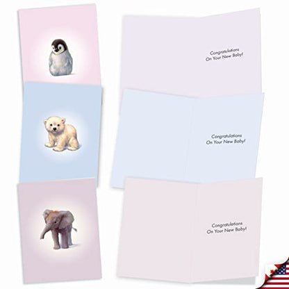 The Best Card Company 20 Assorted Baby Notecards Box Set 4 x 5.12 Inch with Envelopes (10 Designs, 2 Each) Zoo little ones AM6726BBG-B2x10 - style: Zoo Babies Baby