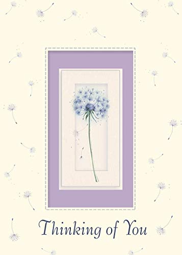 DGR Card-Boxed-Sympathy-Spirit of Peace (Box of 12)