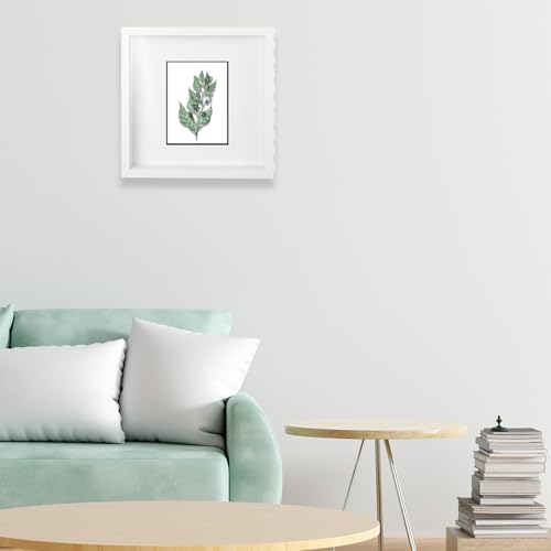 4 Pack Shadow Box Frames, 8 x 8 Inches Square Artificial Board Shadow Boxes Display Case, White 3D Picture Frames for Photos, Dried Flowers, Wall Mounted Handicraft Photo Frame - color: White, size: 8X8