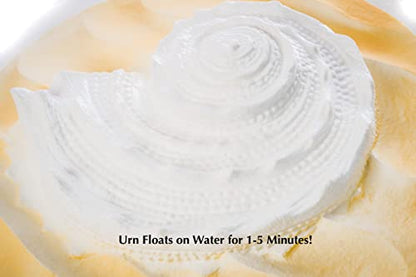 Biodegradable Urn for Scattering Cremated Ashes in Ocean Water, Ground or Sea Burial, Earth Friendly Eco Ashes (Oceanside Shell White Biodegradable Urn) W-304 - color: Oceanside Shell White