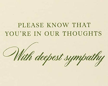 Papyrus Sympathy Card (You're In Our Thoughts) - color: You're In Our Thoughts