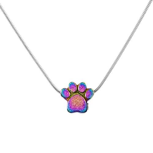 Paw Print Heart Pet Ashes Urn Necklace, Keepsake Pendant-B-Rainbow - style: B-Rainbow