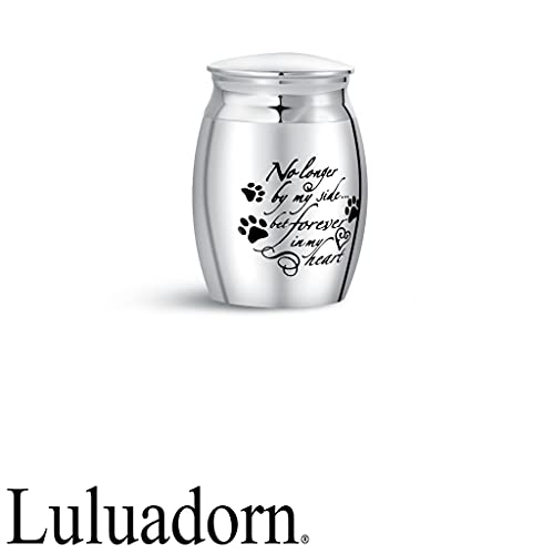 Dog Pet Small Animal Mini Cremation Urn for Ashes Engraved No Longer by My Side but Forever in My Heart Puppy for Funeral 1.6 Stainless Steel - size: No longer by my side but forever in my heart