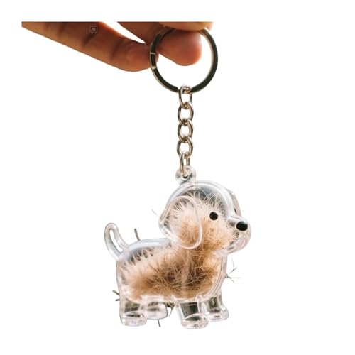 Dog Hair Collector Keychain Charm Memorial Storage Box, Transparent Bottle for Pet Hairs Keychain, Pets Fur Keepsake Keyring for Collecting Hair, Portable Pet Memory Capsule(1) - style: H