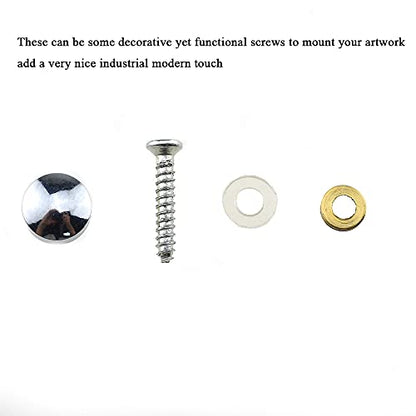 Hahiyo 10mm Diameter Mirror Screws Brushed Stainless Steel Solid Easy Install Brass Washer Decorative Caps Fasteners Nails Silver 20 Pairs for Bathroom Mirrors Panels Kitchen Ceiling Arts Crafts - size: 10mm-20sets-Silver