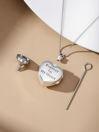 WINNICACA Cremation Jewelry for Ashes Locket Ashes Necklace Urn Necklace for Women Sterling Silver Cremation Necklace for Ashes Fine Keepsake Picture Necklace Memorial Jewelry - style: B02-Dragonfly Urn Locket Necklace