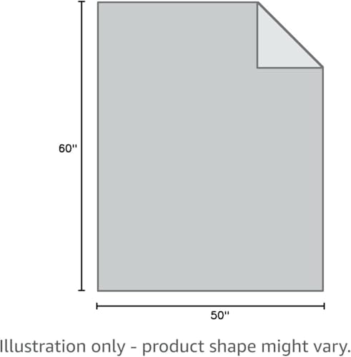 Aimego Colorful Dinosaur Blanket 50" x 60" Flannel Dino Lover Gift - color: Fun Dinosaur Blanket, size: 50"x60"