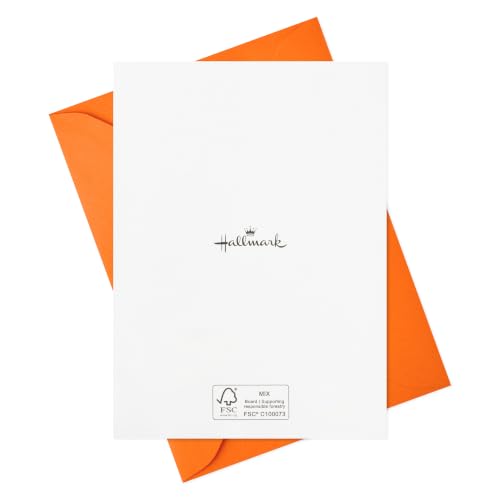 Hallmark Retro Thank You Cards, Assorted 24-Pack (Thanks A Million) - style: Retro Thank You