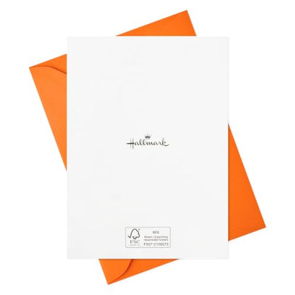 Hallmark Retro Thank You Cards, Assorted 24-Pack (Thanks A Million) - style: Retro Thank You