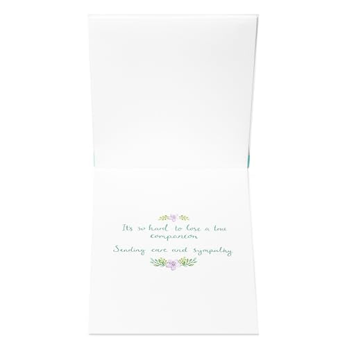 Papyrus Pet Sympathy Card (A True Companion) - color: A True Companion