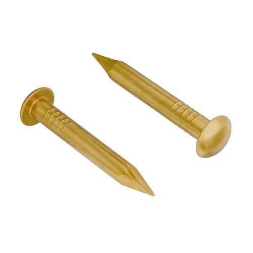 Solid Brass Escutcheon Pins - 1/2" Long - Pack of 100 - Small Round Head Nails - Decorative Nails for Wood - EP1-B - color: Brass