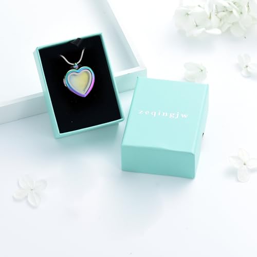 zeqingjw Glass Cremation Jewelry - Round Heart Memorial Urn Necklace for Ashes of Loved One - Stainless Steel Human Pet Dog Cat Keepsake Urn Pendant - color: A-Customize