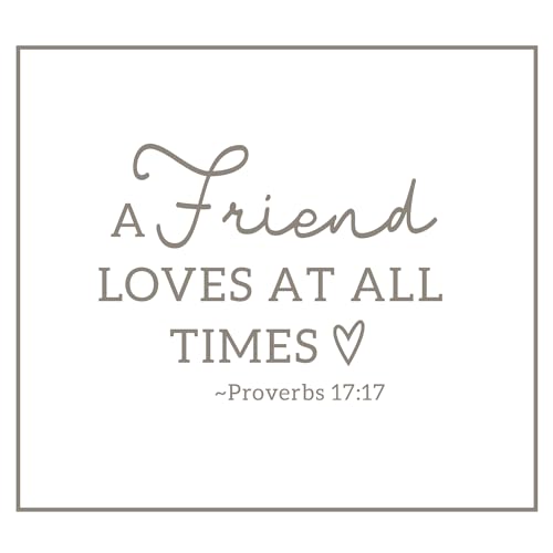 Pavilion Gift Company - A Friend Loves at All Times - Proverbs 17:17-50x60 Inch Super Soft Royal Plush Throw Blanket - style: A Friend