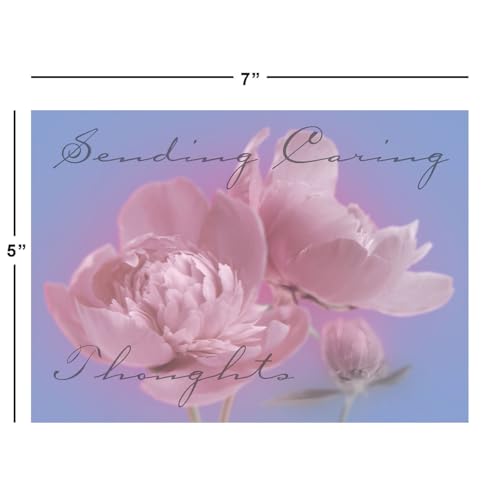 Current Condolences Card Set, Set of 40 | Mega Sympathy, 40 Count, 20 Designs, 5" x 7" Folded, Envelopes Included, Bulk Pack - style: Mega 1