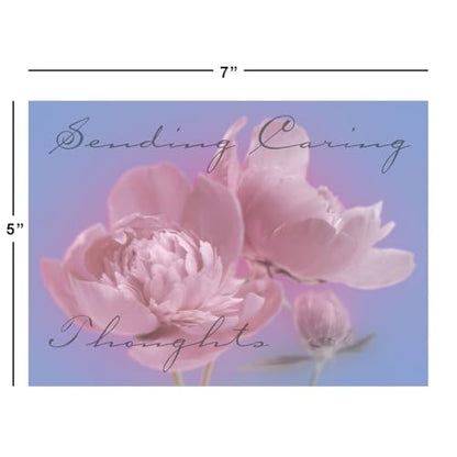 Current Condolences Card Set, Set of 40 | Mega Sympathy, 40 Count, 20 Designs, 5" x 7" Folded, Envelopes Included, Bulk Pack - style: Mega 1