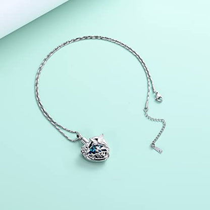 Yinplsmemory Hummingbird Cremation Jewelry Crystal Heart Urn Ashes Necklace for Women Men Memorial Keepsake Necklace of Loved One - color: Blue-Silver